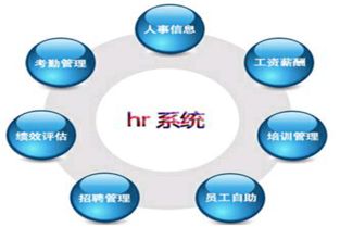 人力资源和行政部门差别大吗