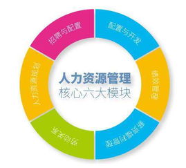 美国研究生人力资源专业介绍