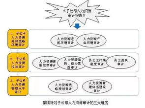 集团人力资源审计