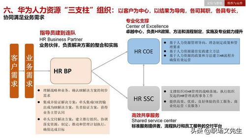 人力资源管理是业务战略落地的保障,华为人力资源体系,经典干货