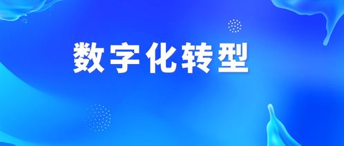 数字化浪潮来袭 人力资源如何数字化转型