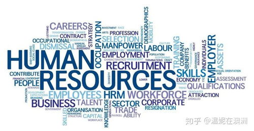 人力资源专业人士如何规划澳洲技术移民之路