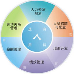 安权教你避开人力资源管理误区,变成人人爱的hr