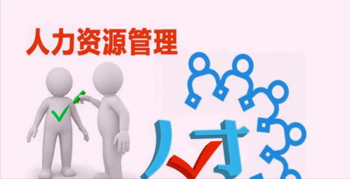 企业人力资源管理部门的主要工作内容